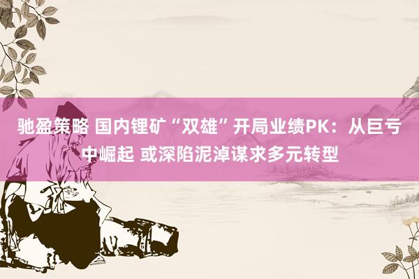 驰盈策略 国内锂矿“双雄”开局业绩PK：从巨亏中崛起 或深陷泥淖谋求多元转型