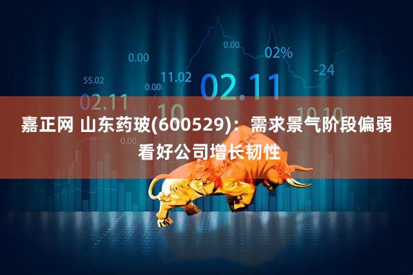 嘉正网 山东药玻(600529)：需求景气阶段偏弱 看好公司增长韧性