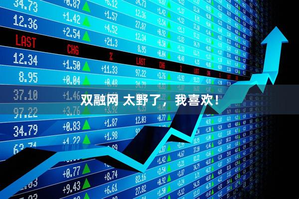 双融网 太野了，我喜欢！