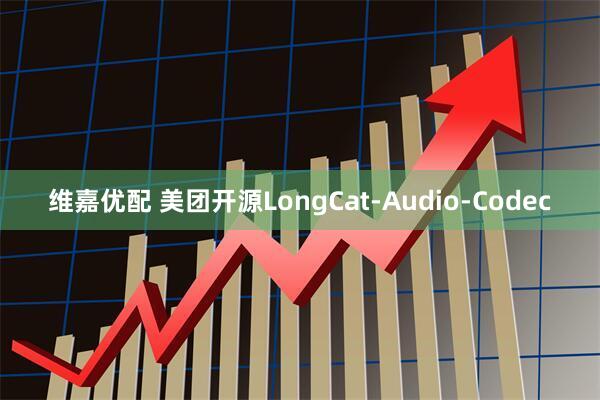 维嘉优配 美团开源LongCat-Audio-Codec